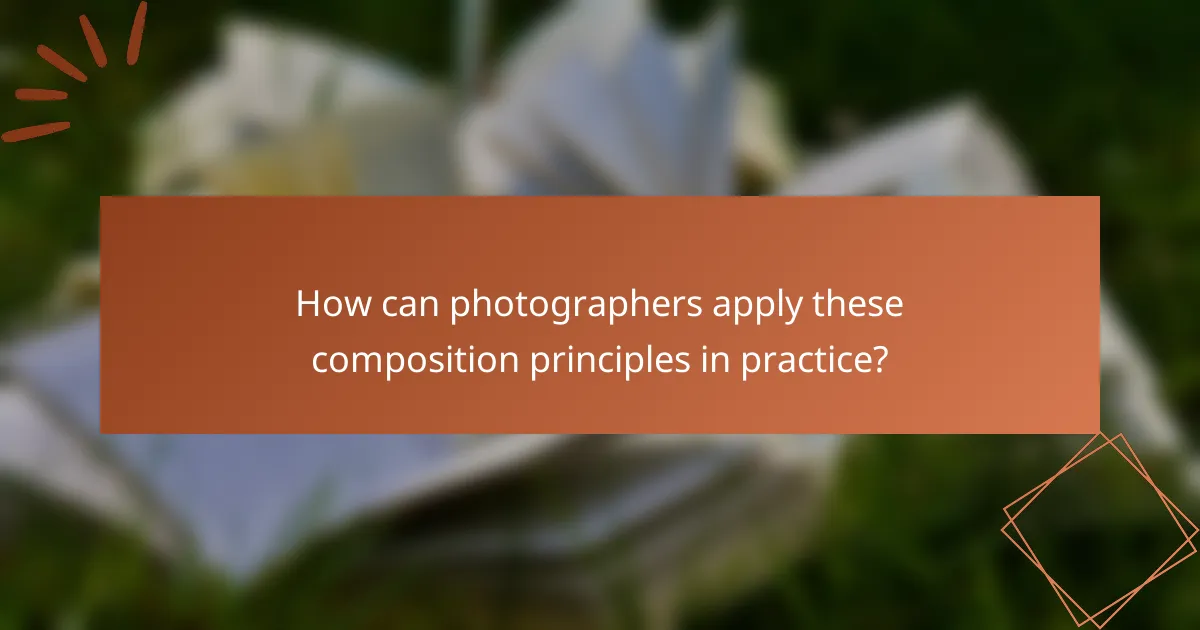 How can photographers apply these composition principles in practice?
