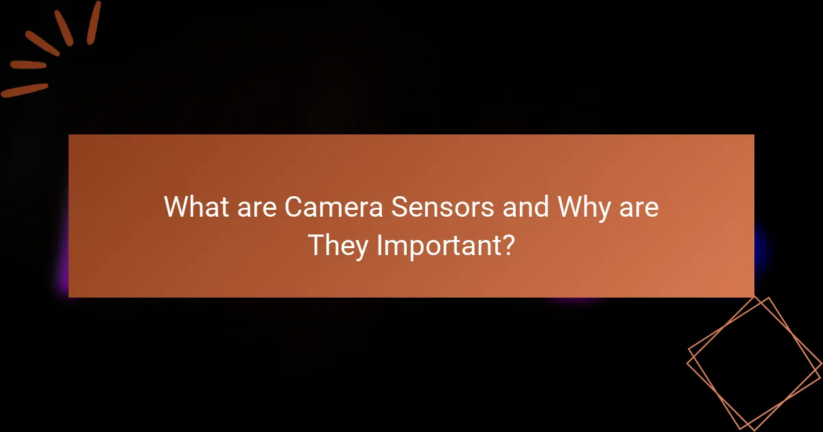 What are Camera Sensors and Why are They Important?